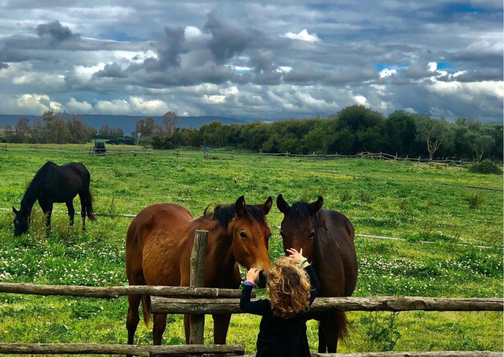 Agriturismo Sa Mandra Casa Minnina Kültér fotó